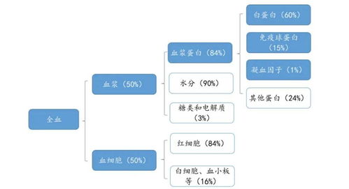 十一省聯(lián)動(dòng)出擊 血液制品與計(jì)算機(jī)軟硬件開發(fā)領(lǐng)域的深度整治與創(chuàng)新突圍