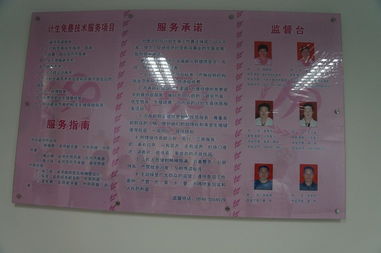 領先CMS建站服務商 專注研發，賦能高效建站